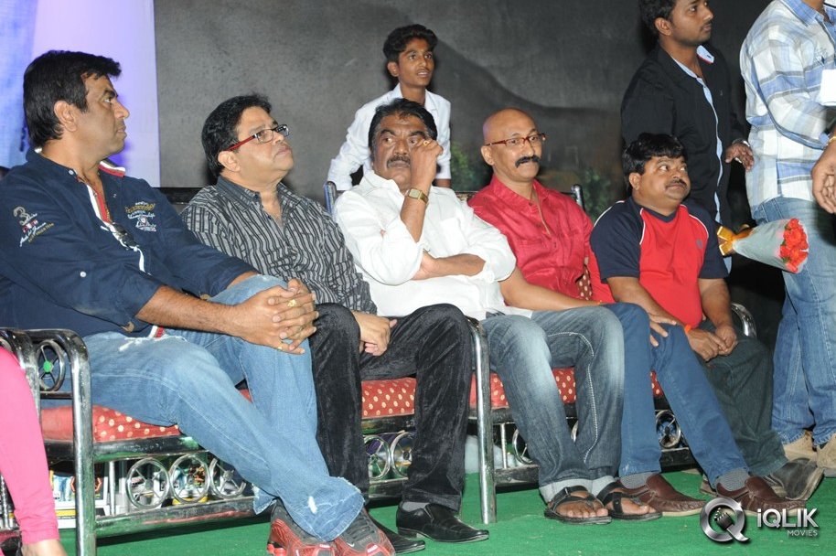 Ali-Baba-Okkade-Donga-Movie-Platinum-Disc-Function